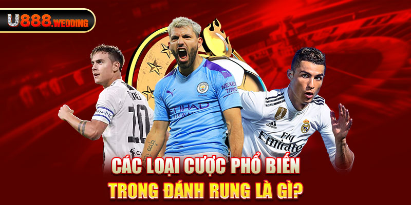 Các loại cược phổ biến trong đánh rung là gì?