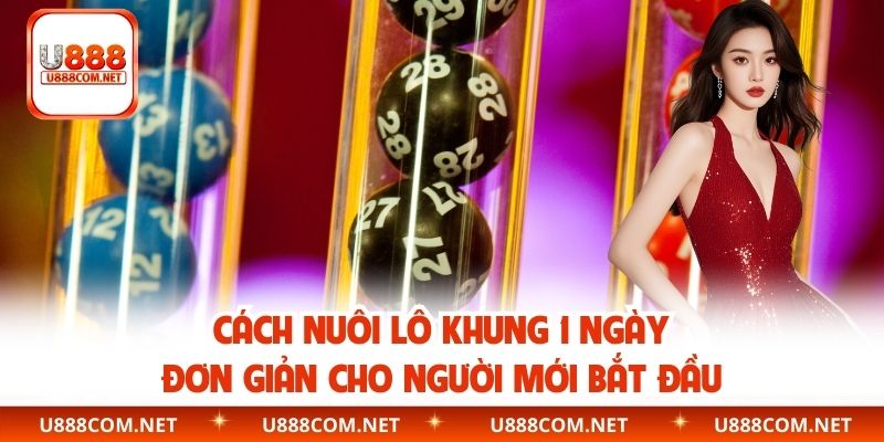 Cách Nuôi Lô Khung 1 Ngày Đơn Giản Cho Người Mới Bắt Đầu