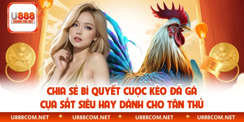 Chia sẻ bí quyết cược kèo đá gà cựa sắt siêu hay dành cho tân thủ