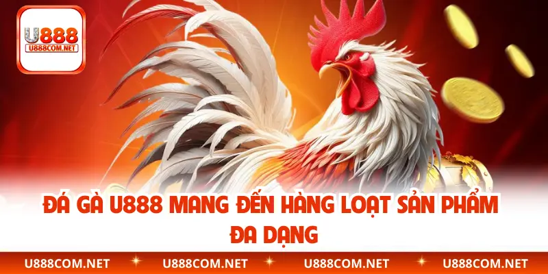 Đá gà U888 mang đến hàng loạt sản phẩm đa dạng