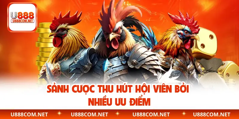 Sảnh cược thu hút hội viên bởi nhiều ưu điểm