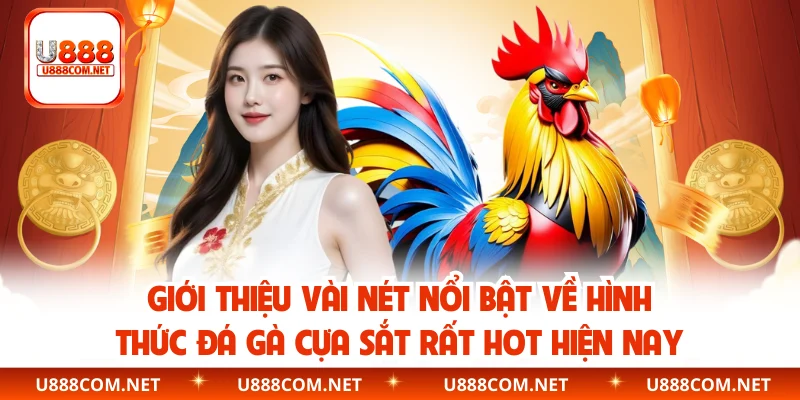 Giới thiệu vài nét nổi bật về hình thức đá gà cựa sắt rất hot hiện nay