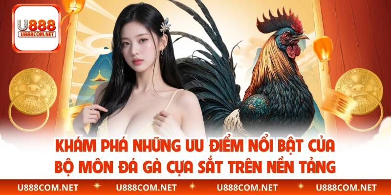 Khám phá những ưu điểm nổi bật của bộ môn đá gà cựa sắt trên nền tảng
