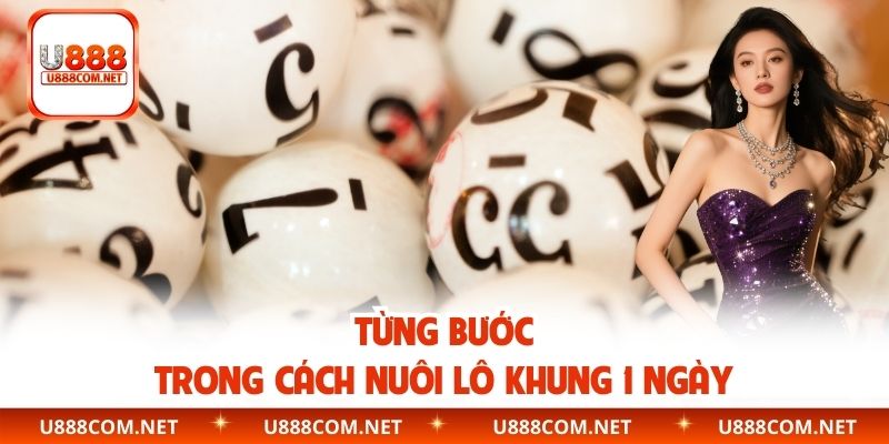 Từng bước trong cách nuôi lô khung 1 ngày